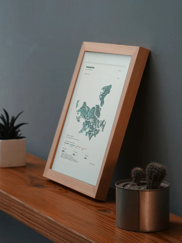 Œuvre Charleston intégrée numériquement dans un cadre, sur une tablette auprès de plantes. Encadrement et proportions indicatifs.