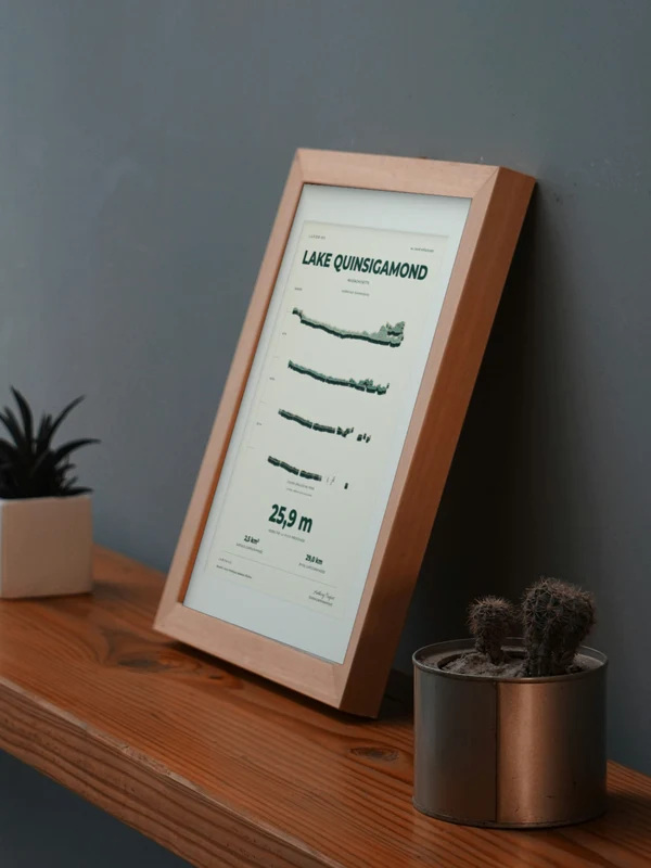 Œuvre Lake Quinsigamond intégrée numériquement dans un cadre, sur une tablette auprès de plantes. Encadrement et proportions indicatifs.