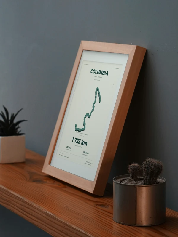 Œuvre COLUMBIA intégrée numériquement dans un cadre, sur une tablette auprès de plantes. Encadrement et proportions indicatifs.