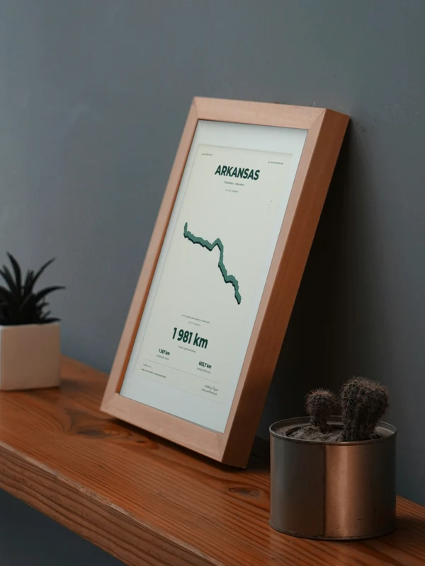 The ARKANSAS artwork digitally placed in a frame on a shelf beside plants. Framing and proportions are illustrative.