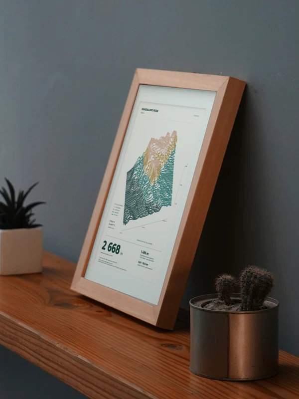 The Guadalupe Peak artwork digitally placed in a frame on a shelf beside plants. Framing and proportions are illustrative.