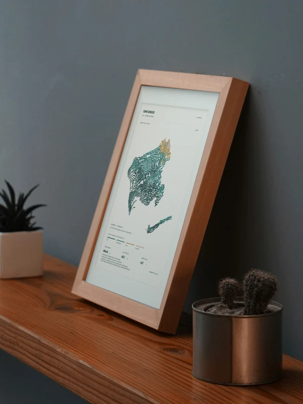 The San Diego artwork digitally placed in a frame on a shelf beside plants. Framing and proportions are illustrative.