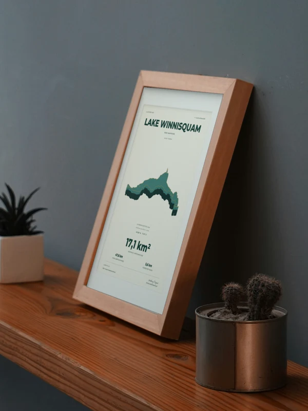 The Lake Winnisquam artwork digitally placed in a frame on a shelf beside plants. Framing and proportions are illustrative.