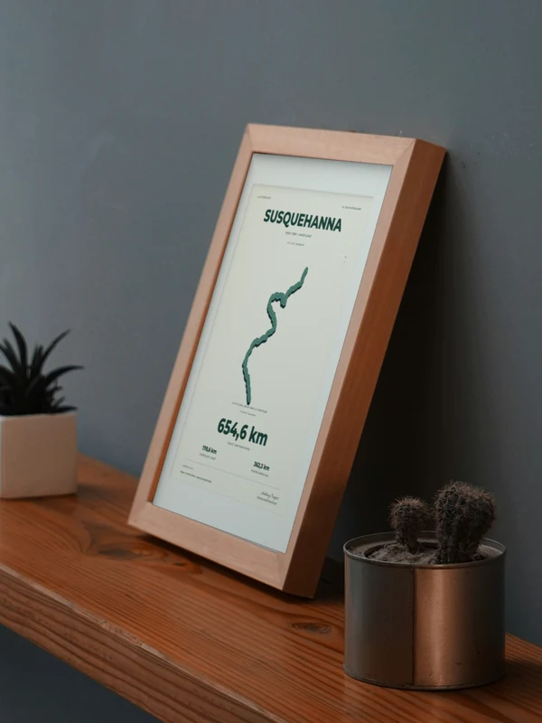 Œuvre SUSQUEHANNA intégrée numériquement dans un cadre, sur une tablette auprès de plantes. Encadrement et proportions indicatifs.