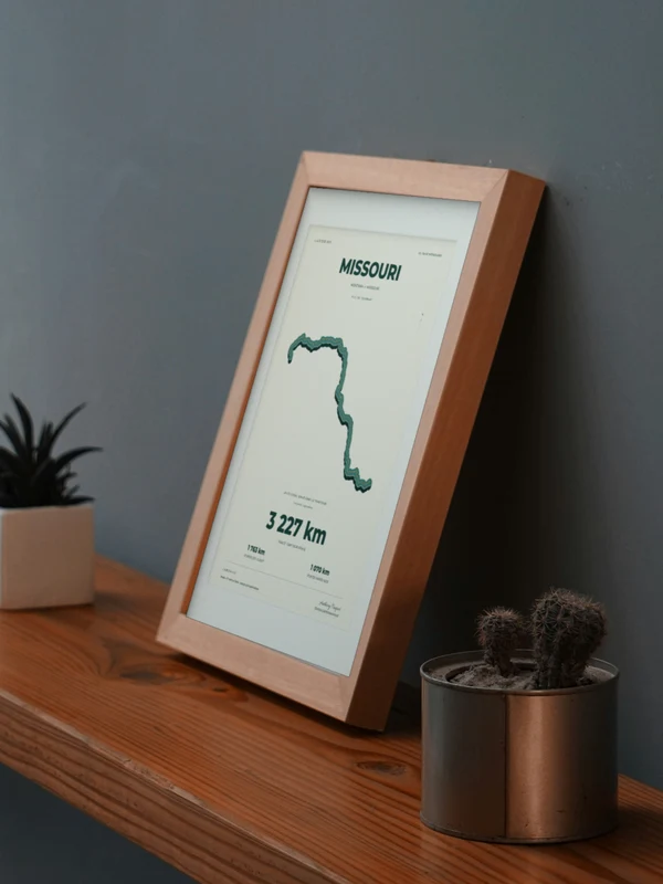 Œuvre MISSOURI intégrée numériquement dans un cadre, sur une tablette auprès de plantes. Encadrement et proportions indicatifs.