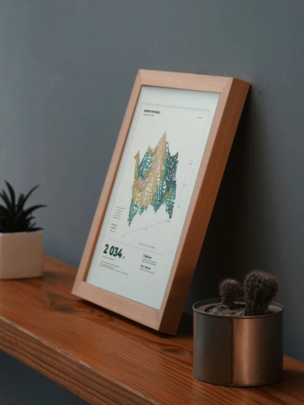 The Mount Mitchell artwork digitally placed in a frame on a shelf beside plants. Framing and proportions are illustrative.