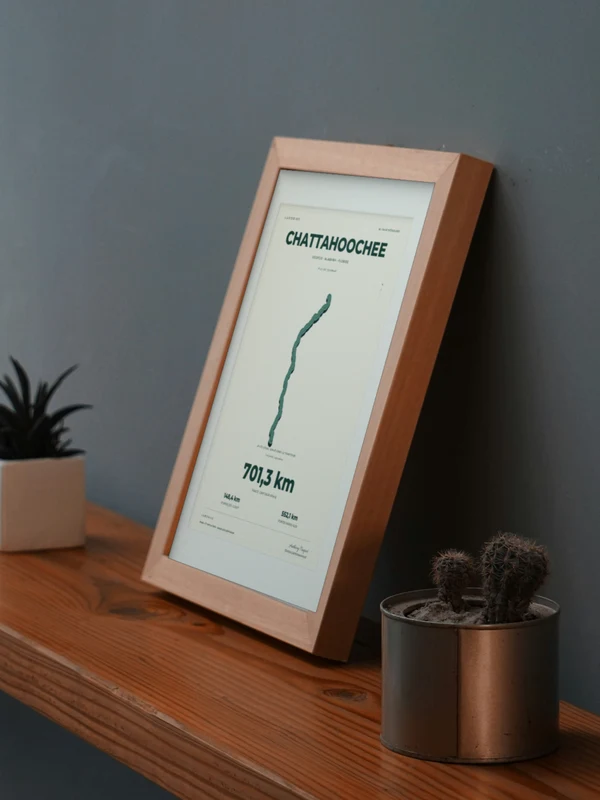 The CHATTAHOOCHEE artwork digitally placed in a frame on a shelf beside plants. Framing and proportions are illustrative.
