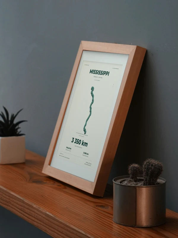 The Mississippi artwork digitally placed in a frame on a shelf beside plants. Framing and proportions are illustrative.